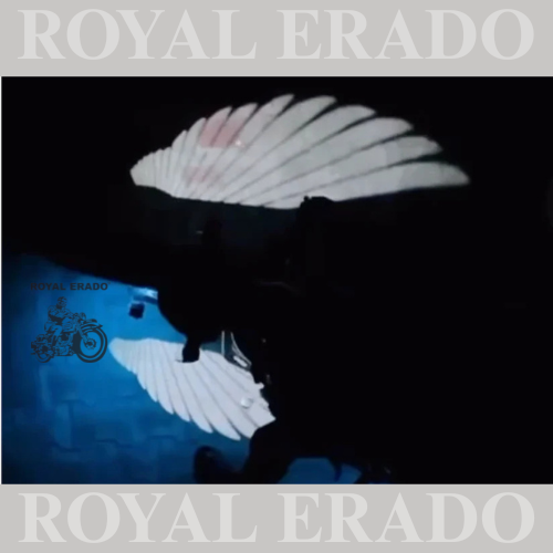 EAGLE WINGS SHADOW LIGHT AT BOTTOM